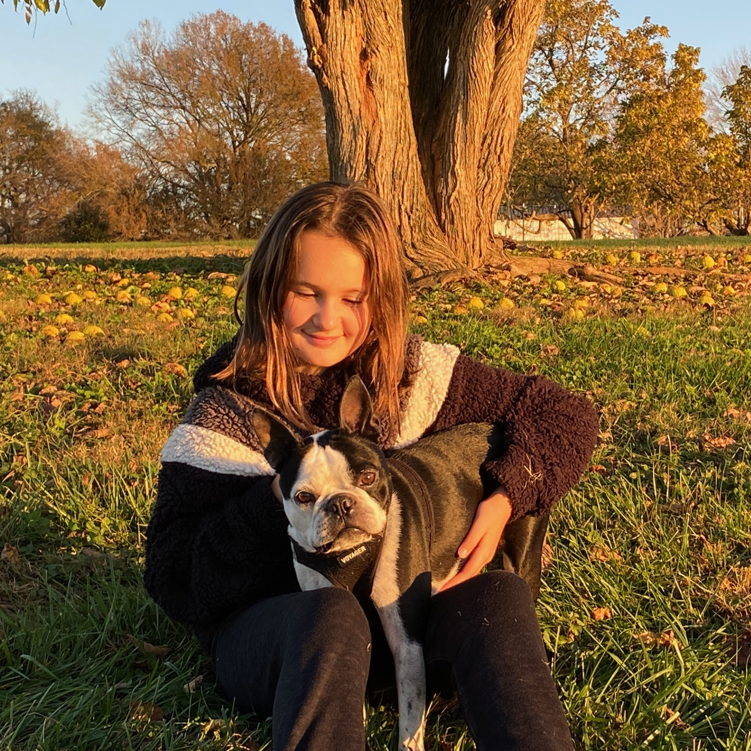 child with dog